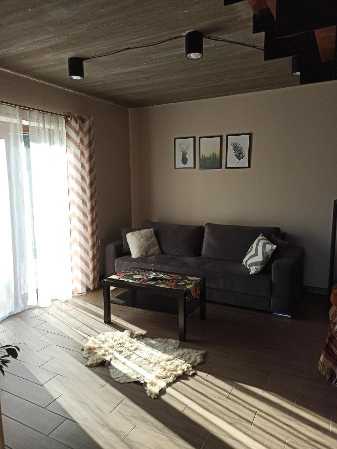 Kocia Gora Apartment